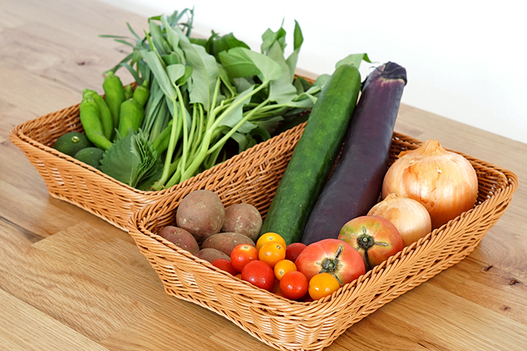【野菜のサブスク】旬の土佐野菜の詰め合せが毎月届く、野菜の定期便 （2023年8月）