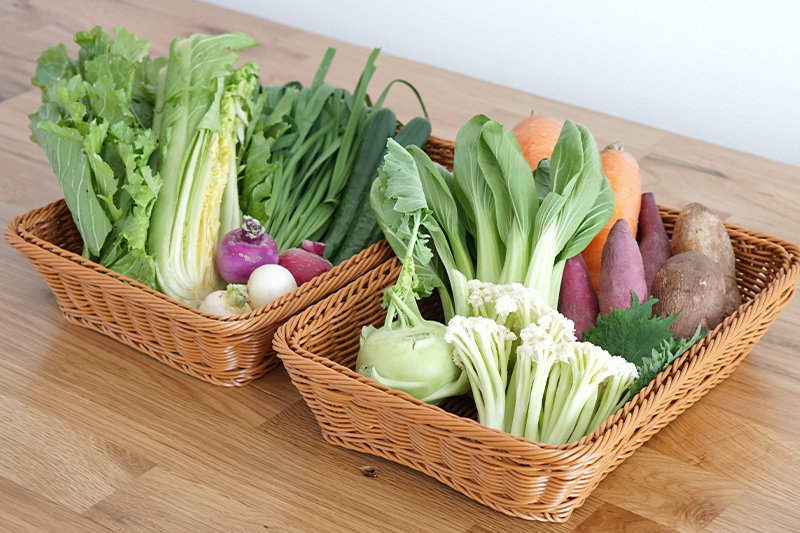 【野菜のサブスク】旬の土佐野菜の詰め合せが毎月届く、野菜の定期便 （2024年1月）