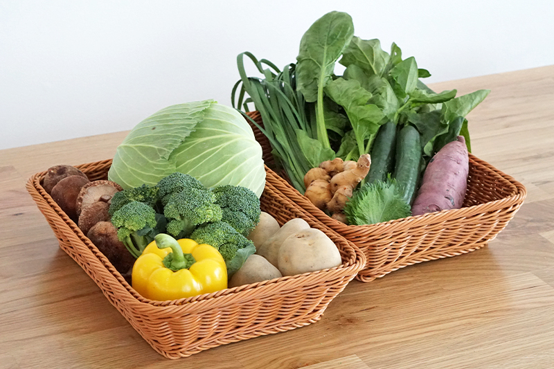 【野菜のサブスク】旬の土佐野菜の詰め合せが毎月届く、野菜の定期便 （2024年3月）