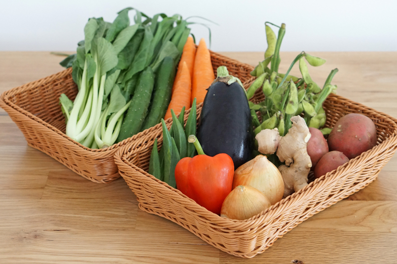 【野菜のサブスク】旬の土佐野菜の詰め合せが毎月届く、野菜の定期便 （2024年7月）